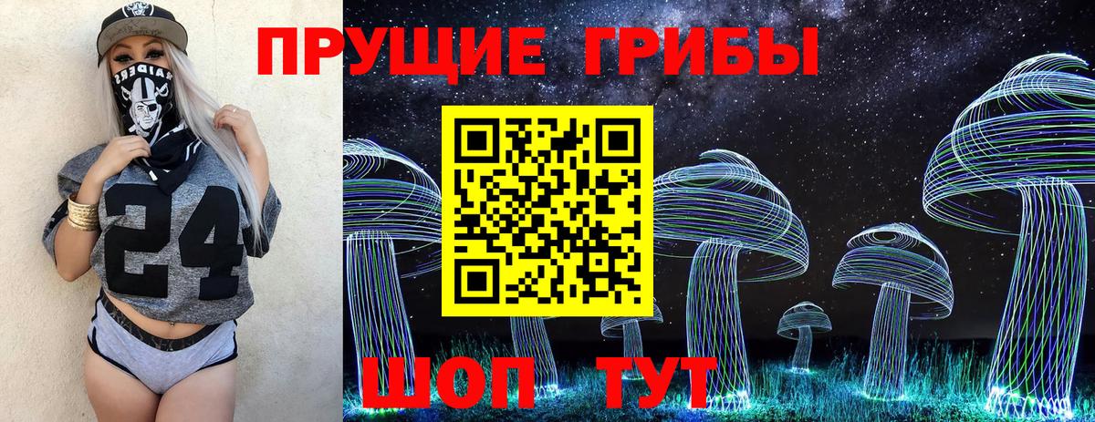 Медногорск  Галлюциногенные грибы мухоморы  Вход с VPN 